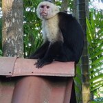 Photo taken by Darlene N