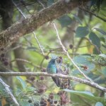 Photo taken by Bert B