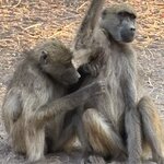 Photo taken by Paul B