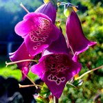 Photo taken by Jon P