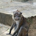 Photo taken by Brian W