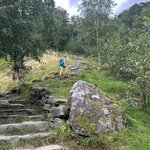 Photo taken by Mitzi F