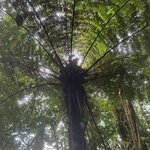 Photo taken by Bonnie Y