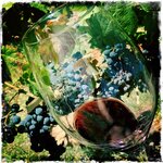 Photo taken by Olaf H