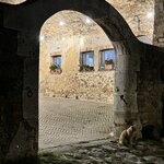 Photo taken by Daniel D