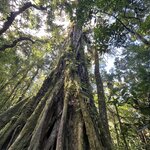 Photo taken by Diane S