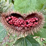 Photo taken by Ben B