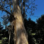 Photo taken by Dee C