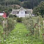 Photo taken by Mitzi F