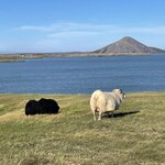 Photo taken by Carmen W