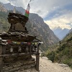 Photo taken by Willow K