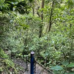 Photo taken by Jacqueline R