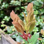 Photo taken by Miranda M