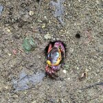 Photo taken by Touraj K