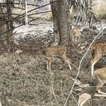 Photo taken by Mary R