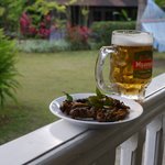 Photo taken by Peter J