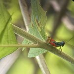 Photo taken by Dana F