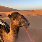 Photo taken by Logan J