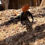 Photo taken by Nigel R