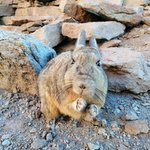 Photo taken by Denisse G