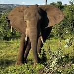 Photo taken by Michael Z