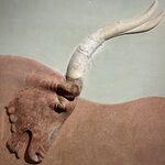 Photo taken by Robin S