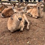 Photo taken by Kaya W