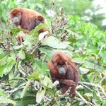 Photo taken by Patricia D