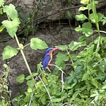 Photo taken by Michael L