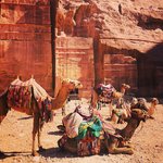 Photo taken by Paul G