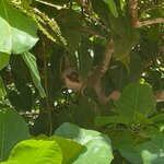 Photo taken by Darcy M