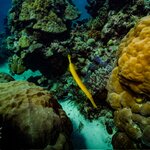 Photo taken by Nicholas P