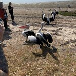 Photo taken by Susan C