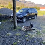 Photo taken by Yumi A