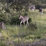 Photo taken by Michael Z