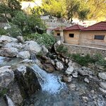 Photo taken by Tom B