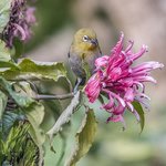 Photo taken by Graham D