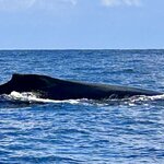 Photo taken by KLAUS A