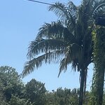 Photo taken by Barb S