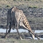 Photo taken by rafiq m