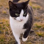 Photo taken by Yumi A