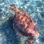 Photo taken by Dixie W