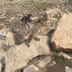 Photo taken by Allison O