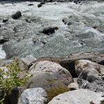 Photo taken by Cindi H