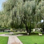 Photo taken by Sarah M