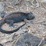 Photo taken by Natascia V