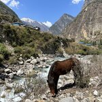 Photo taken by Willow K