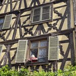 Photo taken by Jodi P