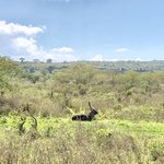 Photo taken by Virginia H