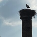 Photo taken by Shannon F